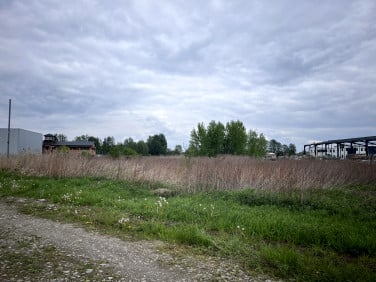 Działka przemysłowa Szewce