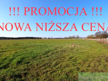 Działka Lubczyna