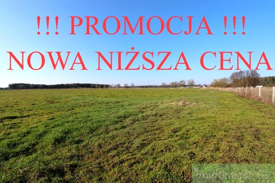 Działka Lubczyna
