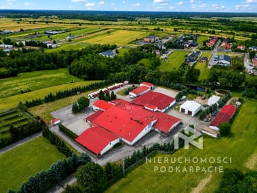 Budynek użytkowy Kolonia Zamek