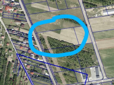 Działka inwestycyjna Kornica sprzedam