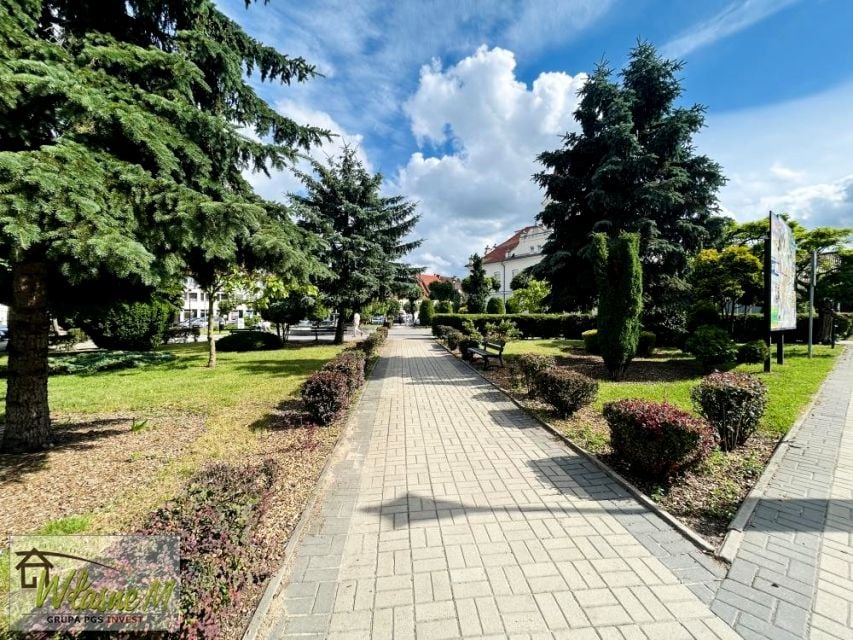 Zdjęcie 3