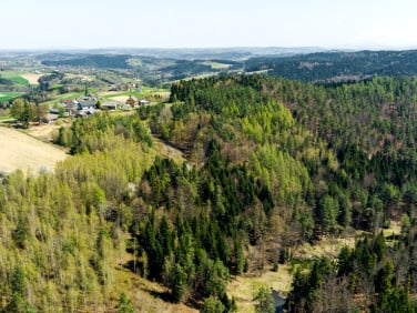 Działka leśna Jastrzębia