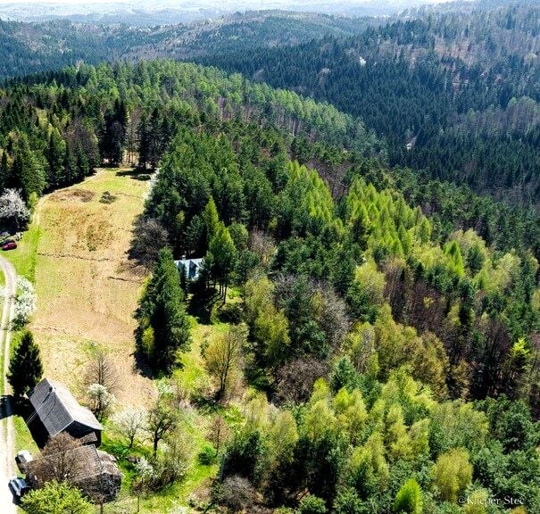 Dom Jastrzębia