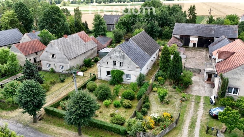 Dom Pleśnica
