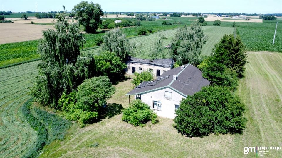 Zdjęcie 3