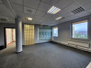 Lokal Zielona Góra