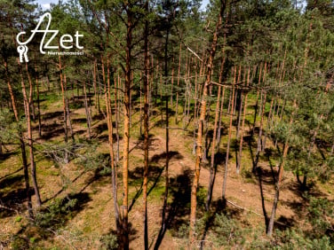 Działka leśna Zawyki