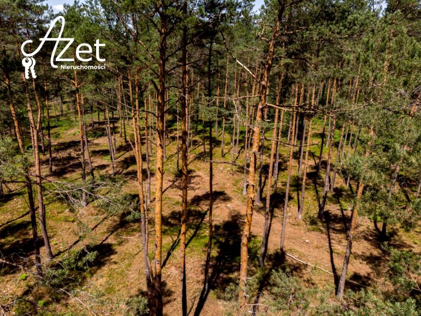 Działka leśna Zawyki