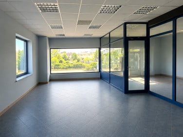 Lokal Rzeszów