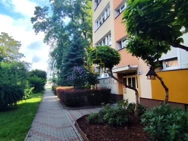 Mieszkanie blok mieszkalny sprzedaż