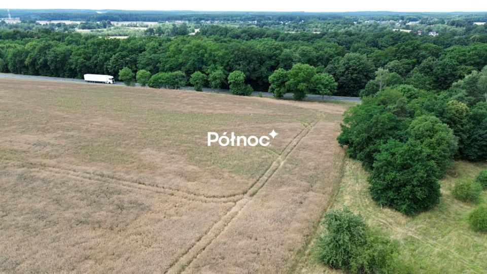 Działka inwestycyjna Dąbrowa Bolesławiecka