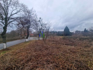 Działka rolna Ratowice