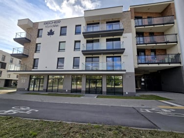 Lokal Kielce
