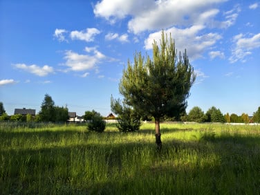 Działka budowlana Jaworznik