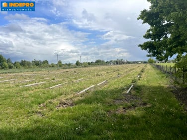 Działka budowlana sprzedam