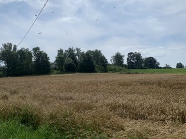 Działka Jeziorany