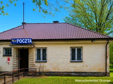 Lokal Płońsk