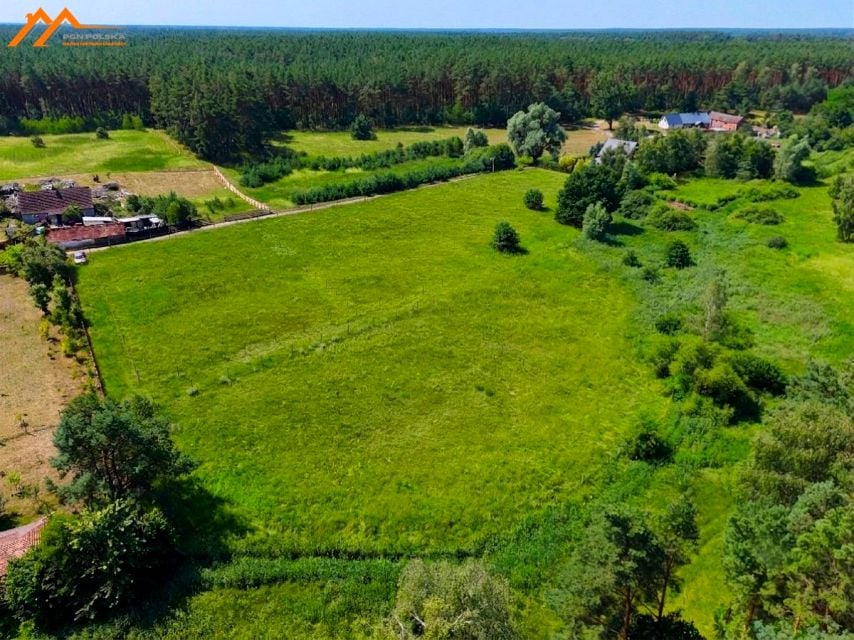 Działka budowlana Pszczelnik