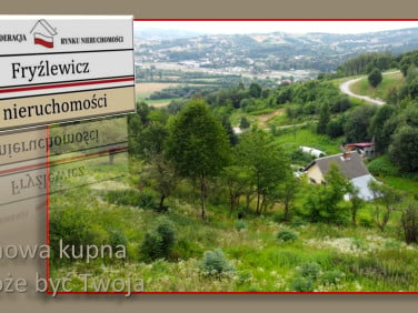 Działka przy lesie