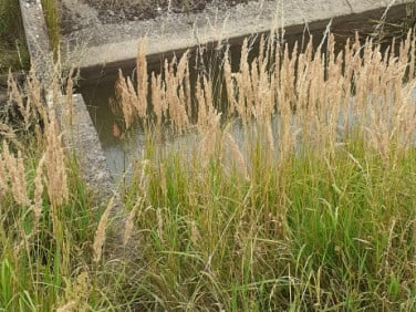 Działka inna sprzedam