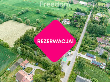 Lokal Krzewsk wynajem