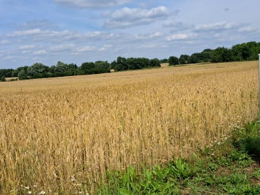 Działka budowlana Kamień Mały sprzedam