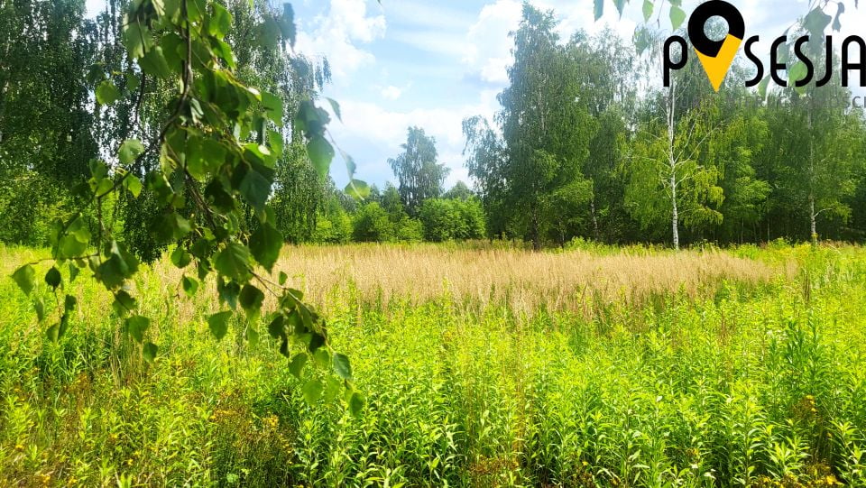 Działka budowlana Gołków