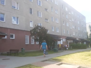 Lokal Iława