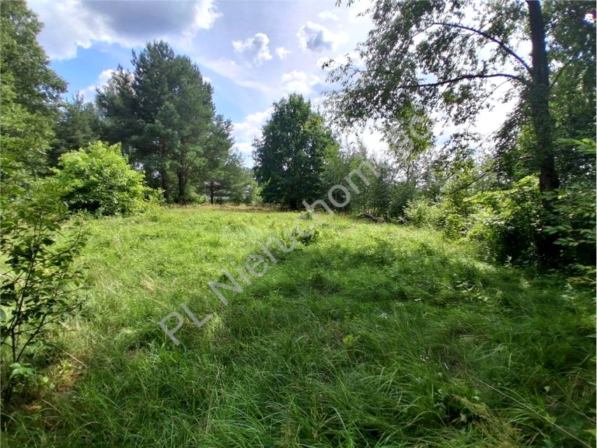 Zdjęcie 3