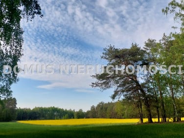 Działka Grzmiąca