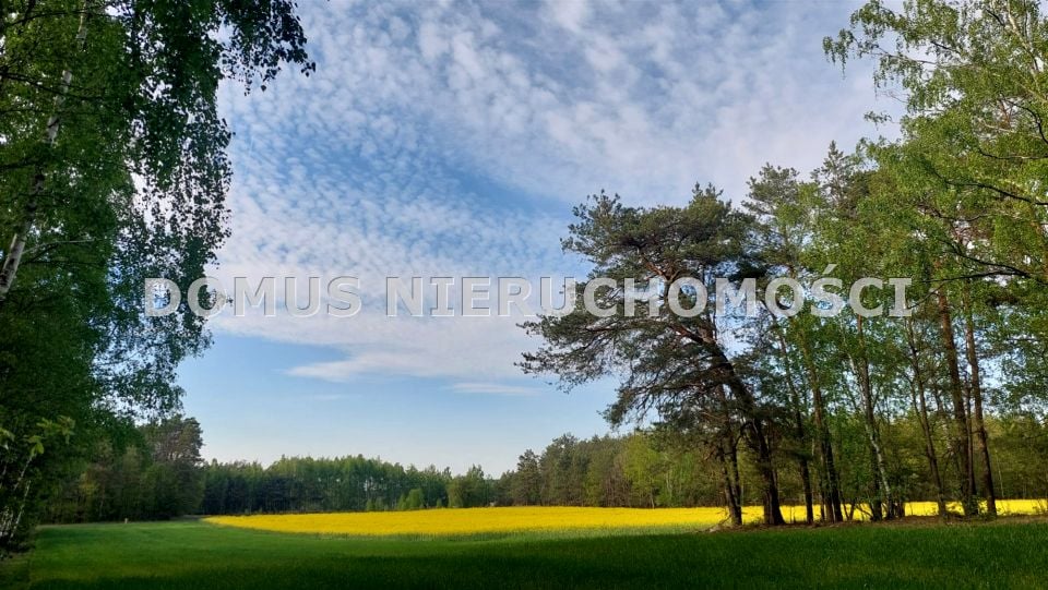 Działka Grzmiąca