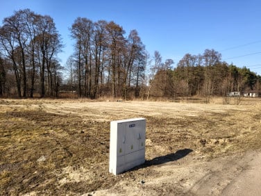 Działka przy lesie