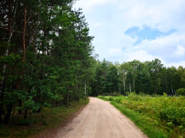 Działka Cezarów