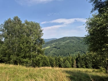 Działka Brenna