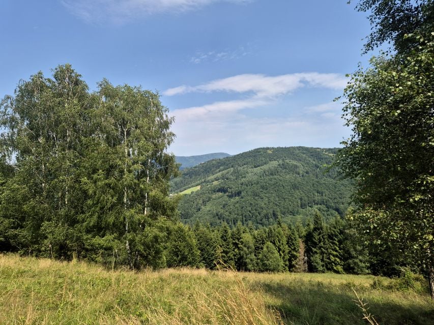 Działka Brenna