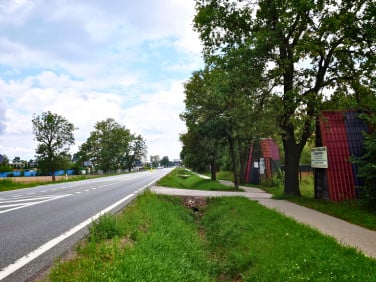 Działka Wielgolas Brzeziński