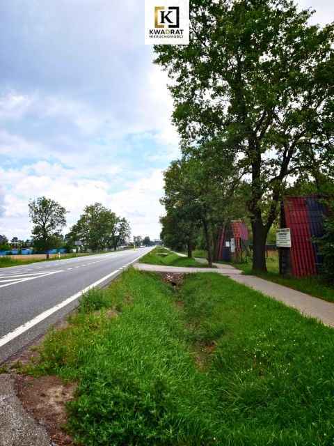 Działka Wielgolas Brzeziński
