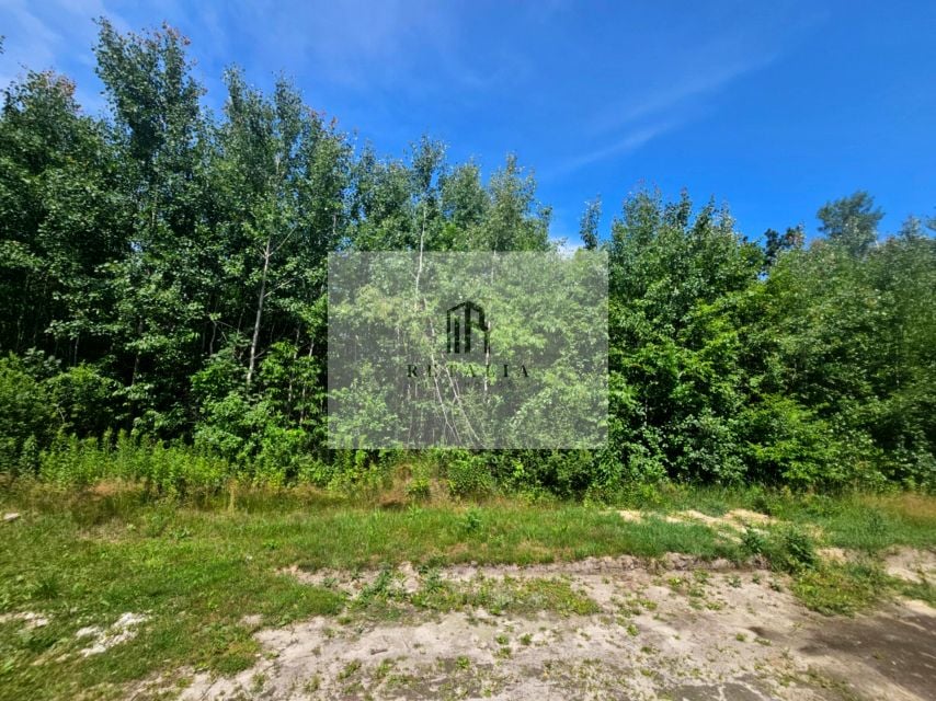 Zdjęcie 3