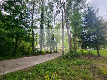 Działka Janinów