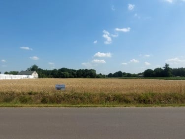Działka Iwonie