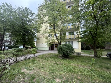 Mieszkanie Toruń