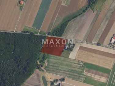 Działka Kamienica