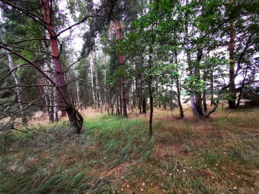 Działka Wójcice