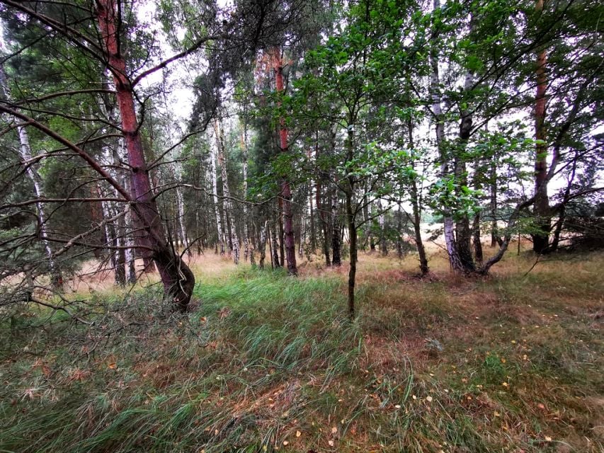 Działka Wójcice