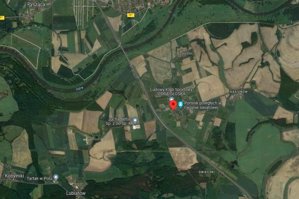 Działka rolna Głoska sprzedam