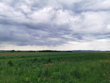 Działka budowlana Pławna sprzedam