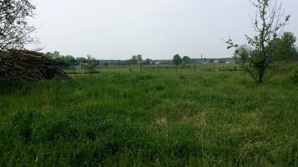 Zdjęcie 2