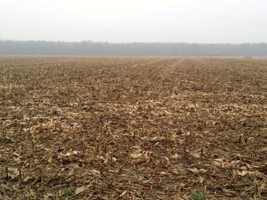 Działka rolna Chrząstawa Wielka sprzedam