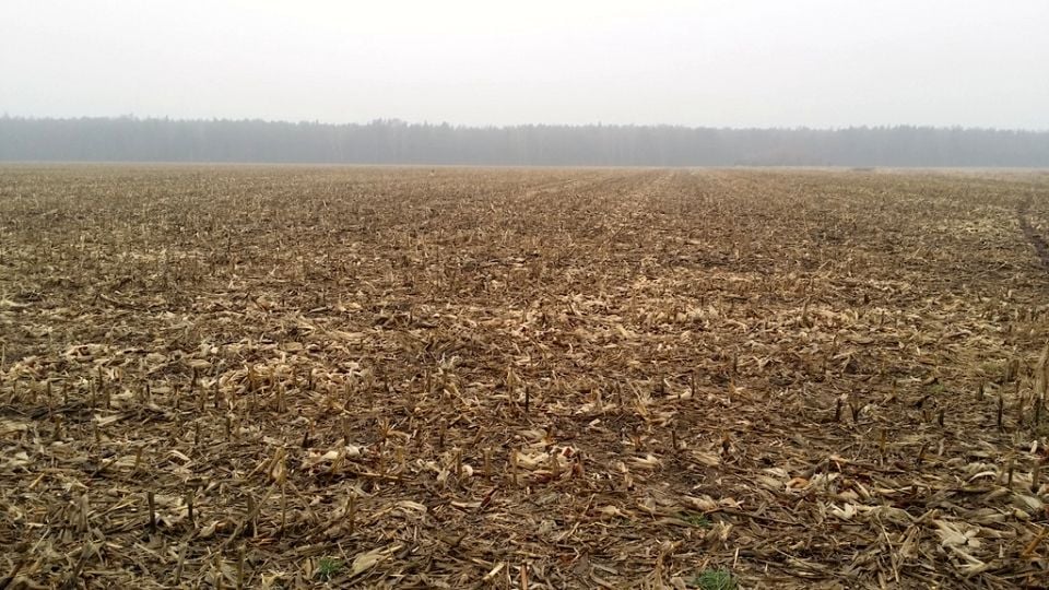 Działka rolna Chrząstawa Wielka sprzedam